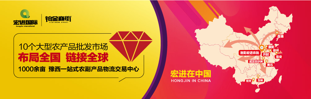 宏进在中国